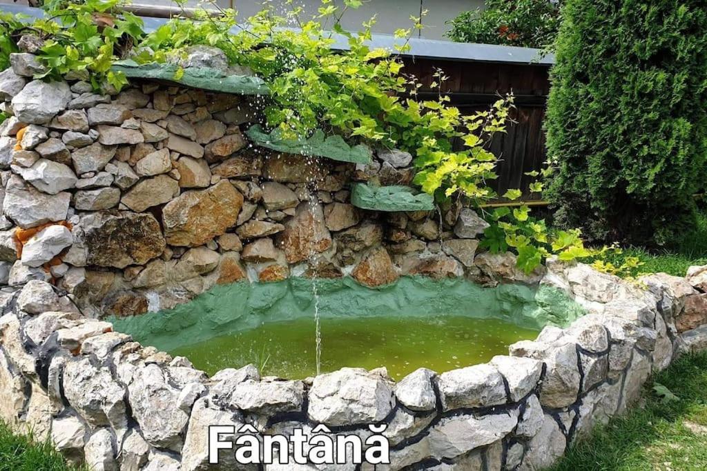 סקלה Ciprians' Home מראה חיצוני תמונה
